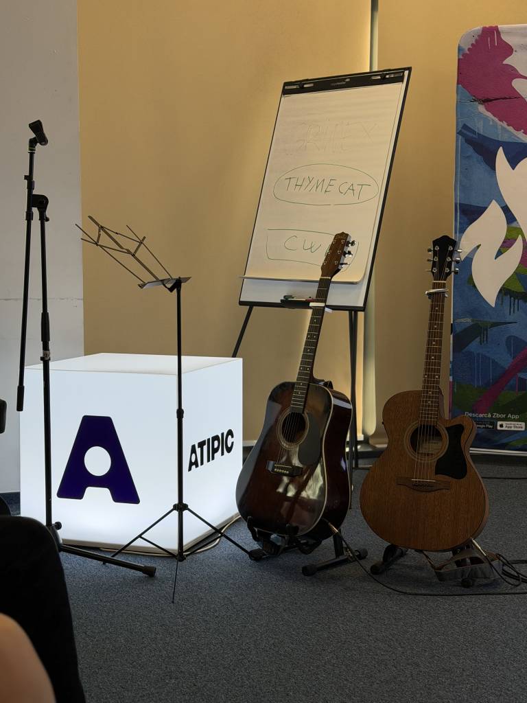 „Educație artistică non-formală pentru tineri alături de Thymecat Recordings